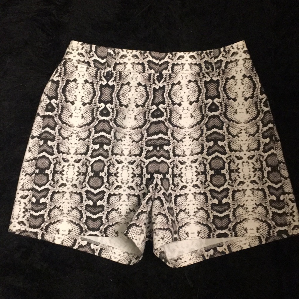 Express shorts
